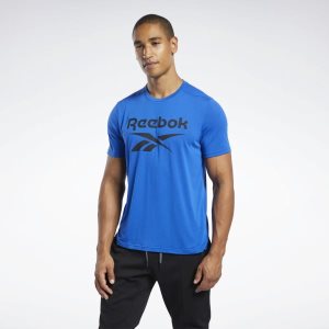 Koszulki Męskie Reebok Workout Ready Supremium Graphic Niebieskie PL 76SXIPT